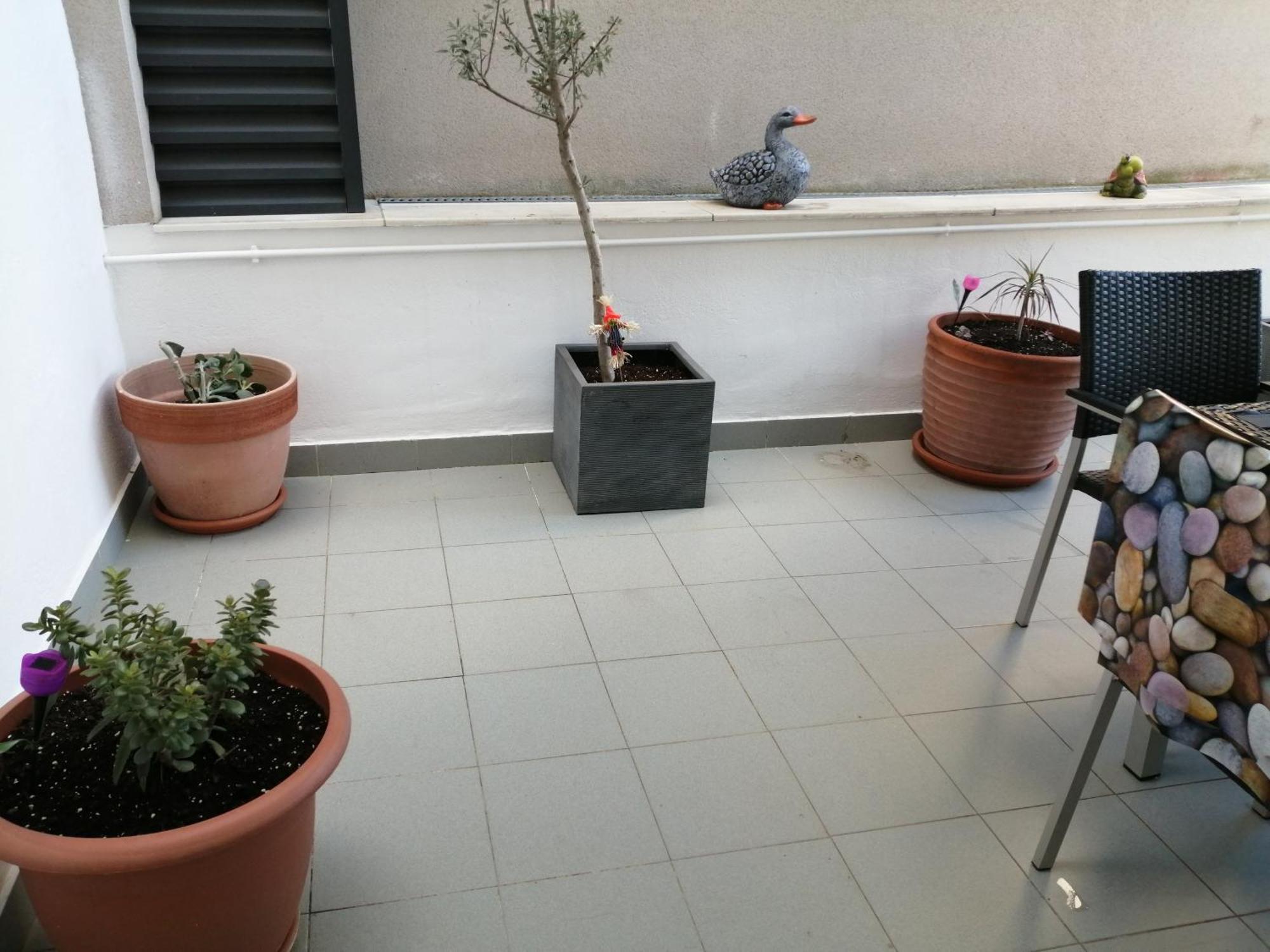 Apartaments Oller Centro Roses Bagian luar foto